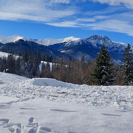 Apartmán Tatrzanska Polana - Tatra Mountain View, Free Parking & Wifi Zakopane Exteriér fotografie